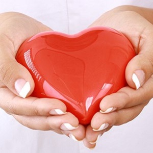 Heart in Hands Photo